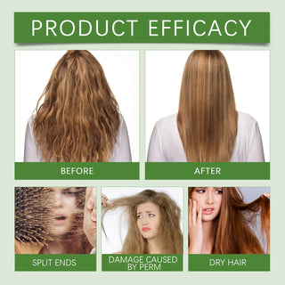 Hoegoa Coconut Hair Oil 100ml Nourishing Treatment For Dry Frizzy Hair Adds Shine and Softness With Natural Coconut Extract